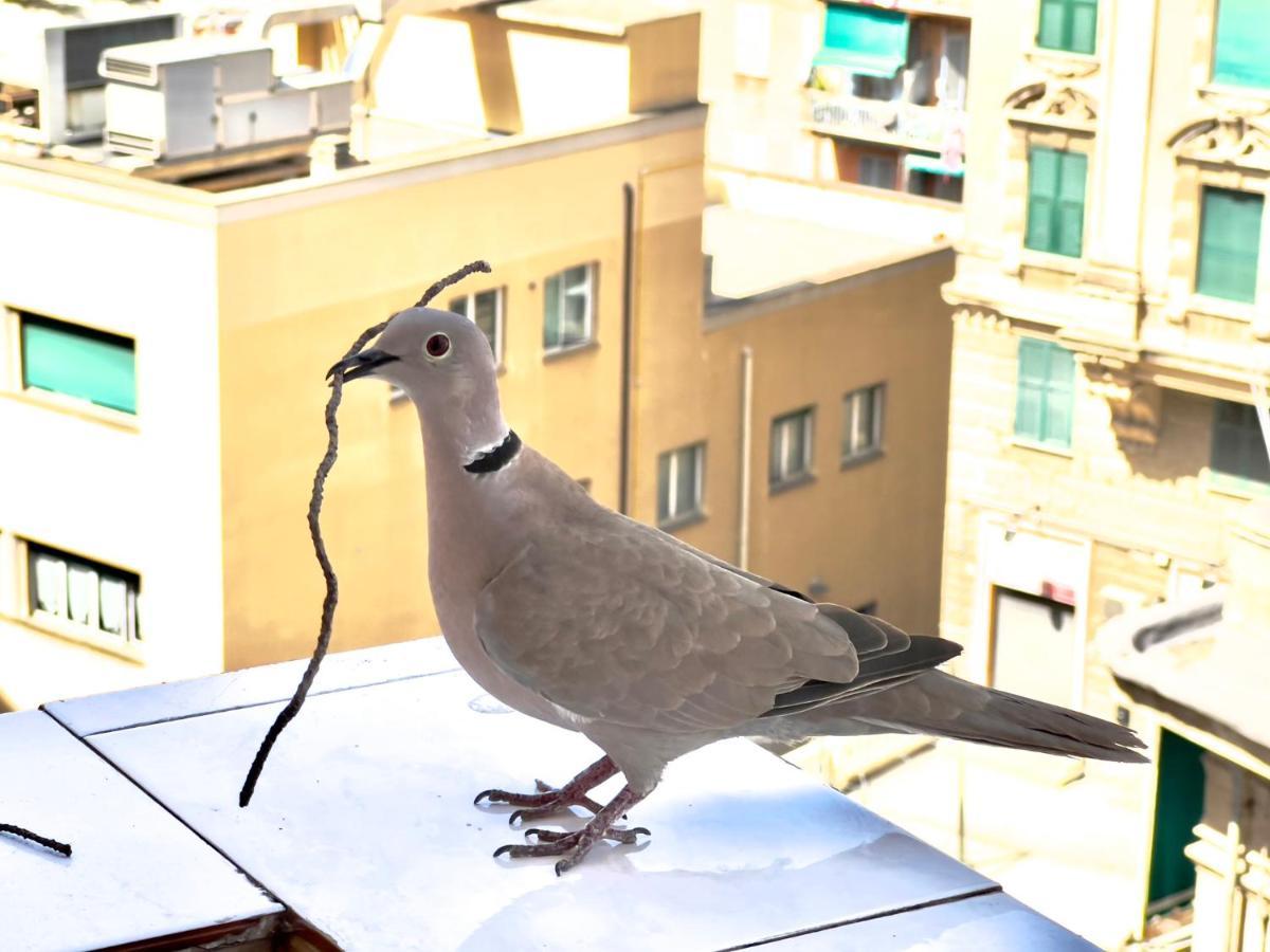 Home Sweet Home Nel Cuore Di Genova Exterior foto